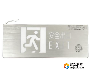 海灣HW-BZ-ACJ(EE1I)-XN441YY消防應急疏散標志燈具